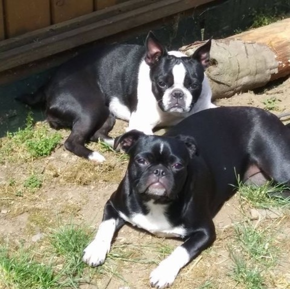 Meet your Posher, Darren - Picture 1 of 1